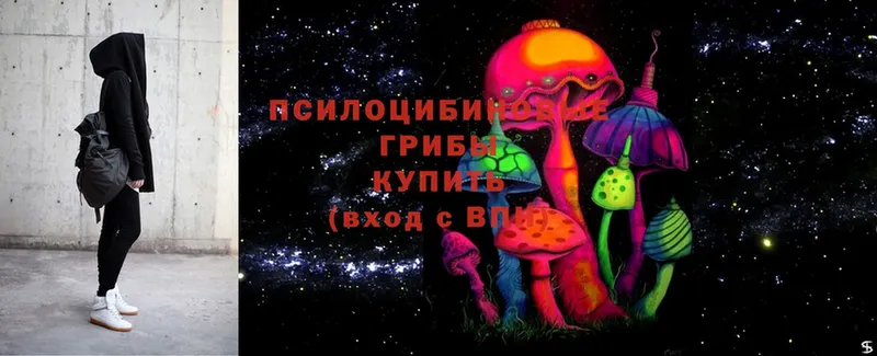 Псилоцибиновые грибы мицелий  Нижневартовск 